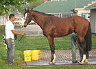 Haskin's Derby Trail: Early Observations Haskin's Derby Trail: Early Observations