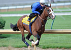 Union Rags Sharp in Final Move for Derby Union Rags Sharp in Final Move for Derby