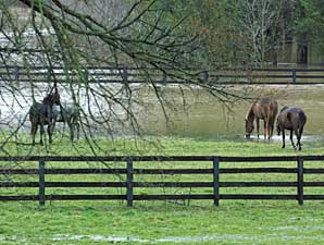 Unwanted Horses: How Serious a Problem? Unwanted Horses: How Serious a Problem?