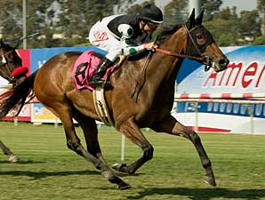 Valbenny Returns for New Trainer Matz Valbenny Returns for New Trainer Matz