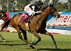 Valbenny Returns for New Trainer Matz Valbenny Returns for New Trainer Matz