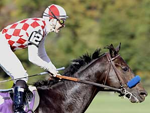 Val Royal, BC Winner, Dead Val Royal, BC Winner, Dead
