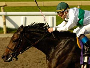 Van Lear Rose Up in Time to Win Mazarine Van Lear Rose Up in Time to Win Mazarine