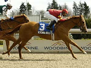 Patient Verdana Bold Wins Star Shoot S. Patient Verdana Bold Wins Star Shoot S.