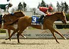 Patient Verdana Bold Wins Star Shoot S. Patient Verdana Bold Wins Star Shoot S.