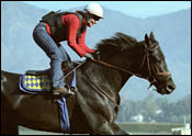 Steve Haskin's Derby Watch: Week 1 (Jan. 21) Steve Haskin's Derby Watch: Week 1 (Jan. 21)