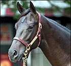 Vindication to Stay at $60,000
