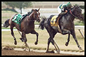 Kentucky Cup Race Report (Cont.) Kentucky Cup Race Report (Cont.)