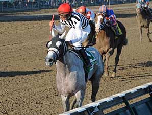 Vineyard Haven Reaps Big Hopeful Victory Vineyard Haven Reaps Big Hopeful Victory
