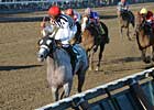 Vineyard Haven Reaps Big Hopeful Victory Vineyard Haven Reaps Big Hopeful Victory