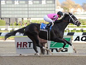 No Stopping Violence in Bumpy Nashua Stakes No Stopping Violence in Bumpy Nashua Stakes