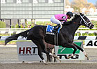 No Stopping Violence in Bumpy Nashua Stakes No Stopping Violence in Bumpy Nashua Stakes