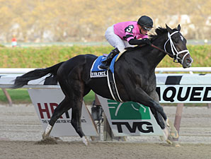 Violence Retired to Hill 'n' Dale Violence Retired to Hill 'n' Dale