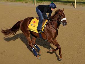 Visionaire Breezes As Expected Visionaire Breezes As Expected