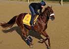 King's Bishop Winner Visionaire Retired King's Bishop Winner Visionaire Retired