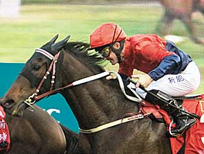 Viva Pataca Wins Hong Kong Gold Cup Viva Pataca Wins Hong Kong Gold Cup