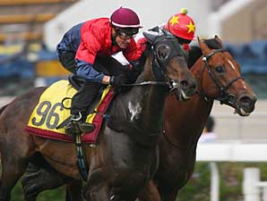 Viva Pataca Named Hong Kong Horse of the Year Viva Pataca Named Hong Kong Horse of the Year