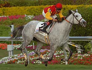 Waquoit's Love Gets Her First Stakes Win Waquoit's Love Gets Her First Stakes Win