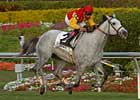 Waquoit's Love Gets Her First Stakes Win Waquoit's Love Gets Her First Stakes Win
