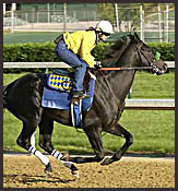 Preakness Contenders in Final Workouts Preakness Contenders in Final Workouts