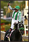 Steve Haskin's Preakness Story: Battle of Baltimore Steve Haskin's Preakness Story: Battle of Baltimore