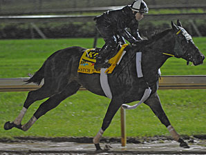 Monday, May 2 Derby Workouts at a Glance Monday, May 2 Derby Workouts at a Glance