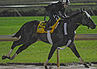 Monday, May 2 Derby Workouts at a Glance