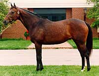 Kentucky Broodmare of the Year Weekend Surprise Dead Kentucky Broodmare of the Year Weekend Surprise Dead