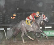 White Buck Sloshes to Victory in Sam F. Davis Stakes White Buck Sloshes to Victory in Sam F. Davis Stakes
