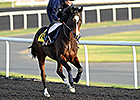 Dual Grade I Winner Wigmore Hall Euthanized Dual Grade I Winner Wigmore Hall Euthanized