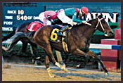 Asmussen Pair Head Wide-Open Arkansas Derby Asmussen Pair Head Wide-Open Arkansas Derby