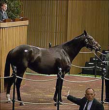 Keeneland's First Two Days Like A Tale of Two Sales Keeneland's First Two Days Like A Tale of Two Sales