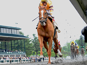 Wise Dan Sets Track Mark in Ben Ali Romp Wise Dan Sets Track Mark in Ben Ali Romp