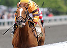Wise Dan, Alternation Top Stephen Foster