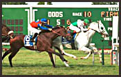 Monmouth Park Race Report: Finished Business Monmouth Park Race Report: Finished Business