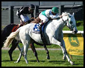 Belmont Race Report (Cont.) Belmont Race Report (Cont.)