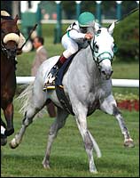 Saratoga Racing Report: Get With It Saratoga Racing Report: Get With It