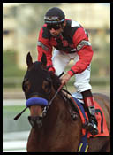 Santa Anita Race Report: Can't Knock Wood Santa Anita Race Report: Can't Knock Wood