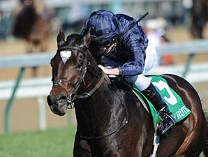 Strong Coolmore Team Headed to Dubai Strong Coolmore Team Headed to Dubai