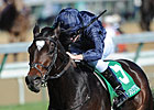 Strong Coolmore Team Headed to Dubai