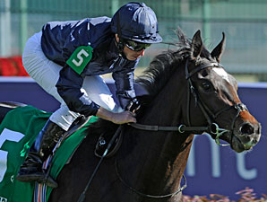 Wrote, Duke of Mischief to Northwest Stud Wrote, Duke of Mischief to Northwest Stud