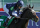 Wrote, Duke of Mischief to Northwest Stud Wrote, Duke of Mischief to Northwest Stud