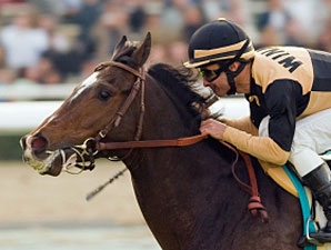 Preakness Profile: Yankee Bravo Preakness Profile: Yankee Bravo