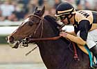 Preakness Profile: Yankee Bravo