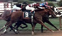 Yonaguska Wins Sport Page on Breeders' Cup Undercard Yonaguska Wins Sport Page on Breeders' Cup Undercard