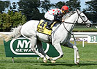 Za Approval, Toasting Get Belmont Stakes Wins Za Approval, Toasting Get Belmont Stakes Wins