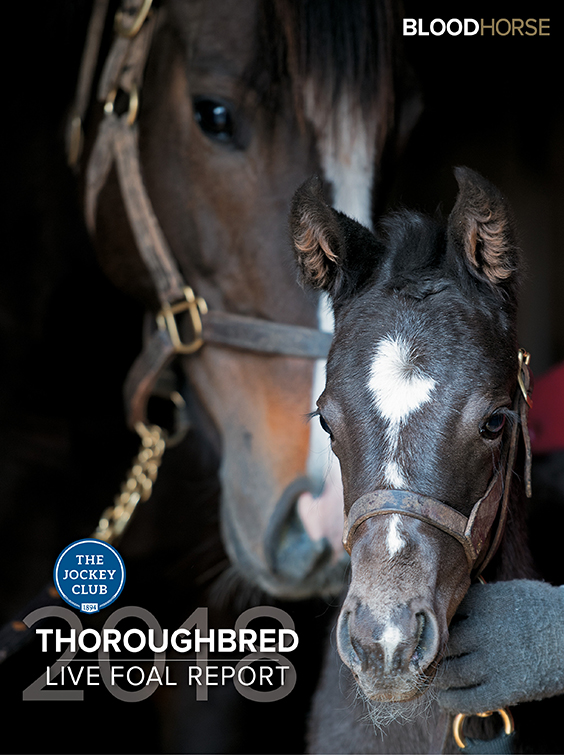 Professional Horse Industry Reports