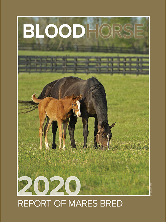 Thoroughbred Reports, News, Sire Lists, Blogs, Video, Pedigree Analysis