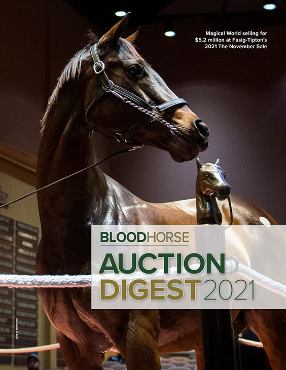 Thoroughbred Reports, News, Sire Lists, Blogs, Video, Pedigree Analysis