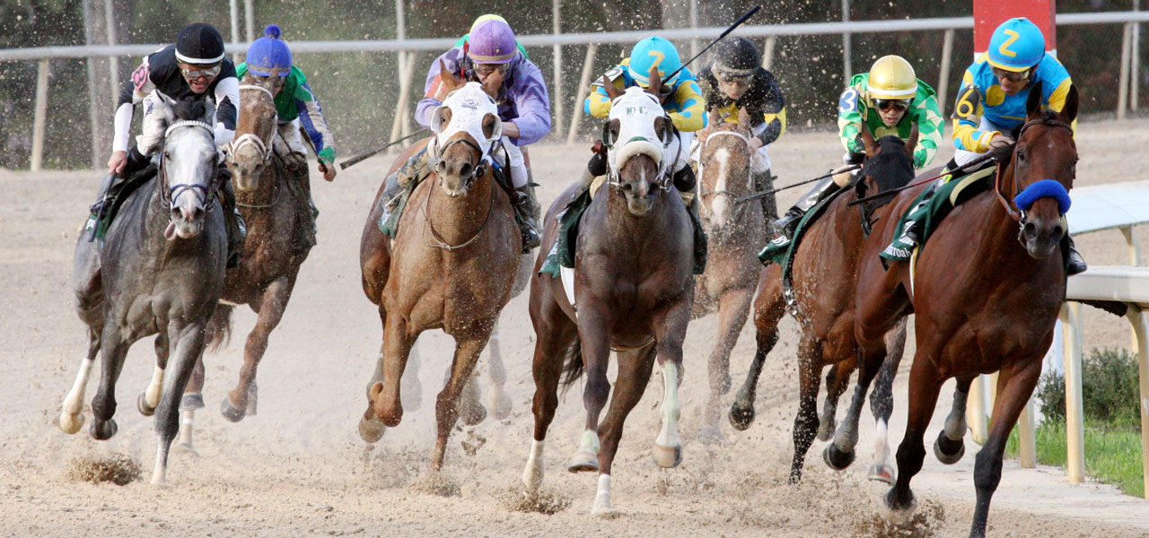 2015 Arkansas Derby Race Sequence - Features - BloodHorse.com